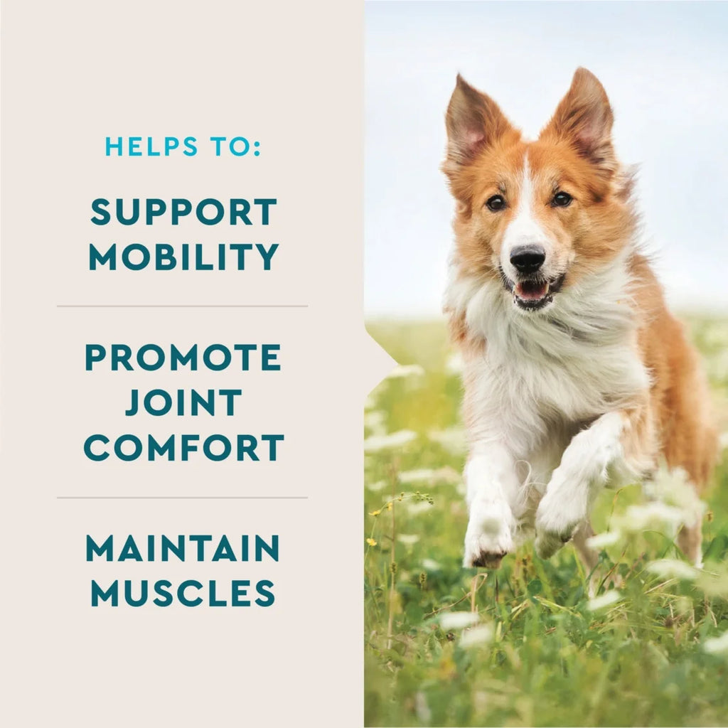 (3 Pack)  Hip & Joint Supplement for Dogs, Chicken Flavored Soft Chews, 7.4 Oz, 60 Count